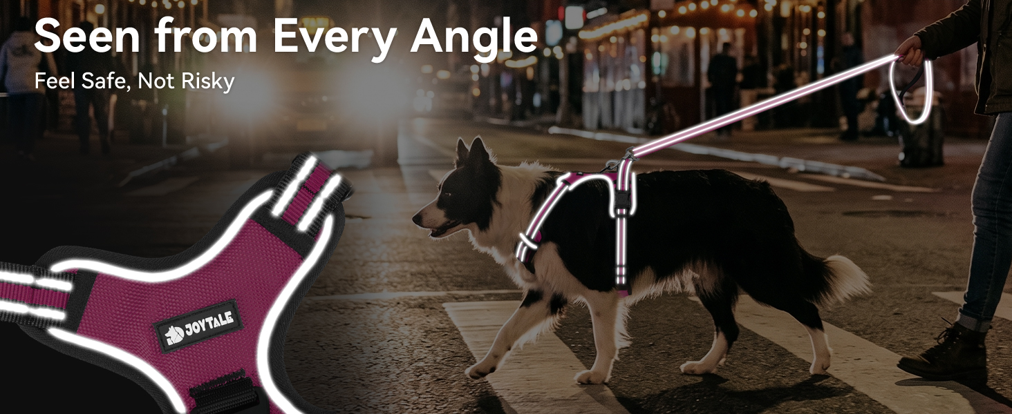 reflective dog harness