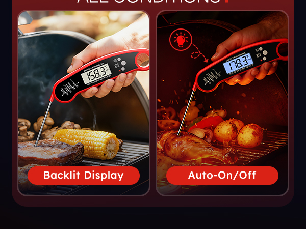 wireless thermometer for grilling