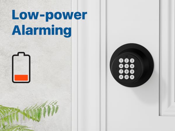 Door Knob with Keypad