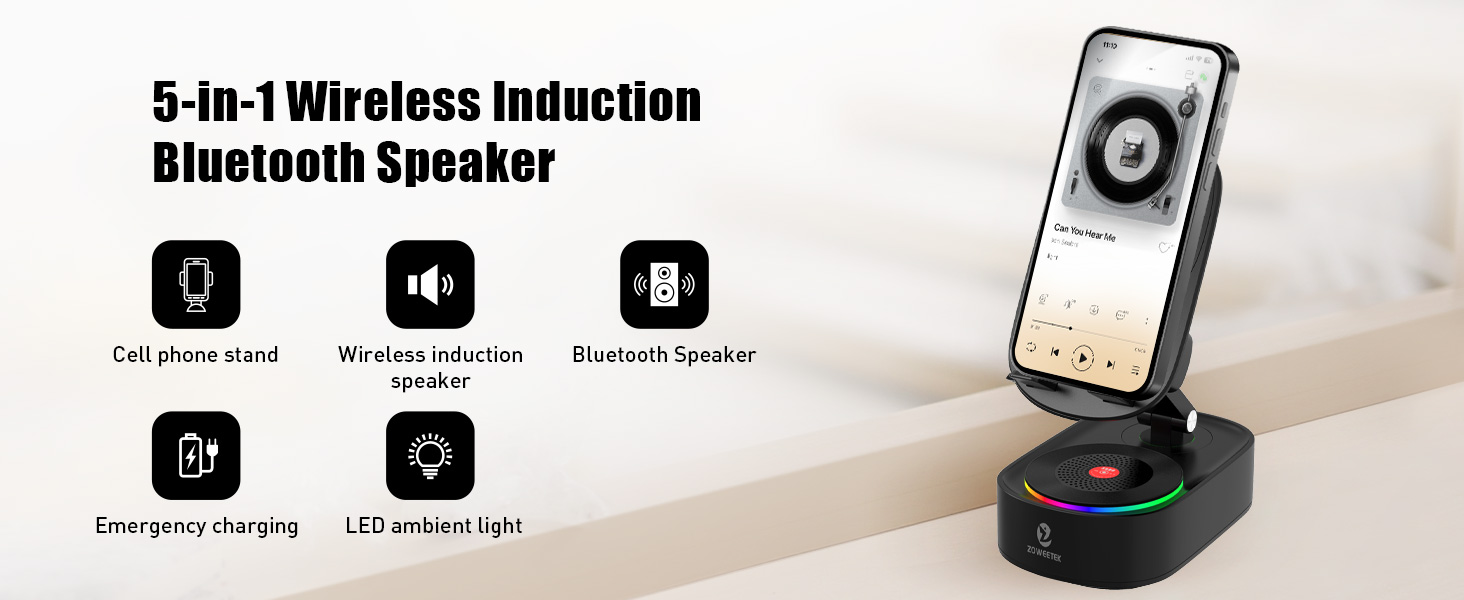 wireless induction speaker