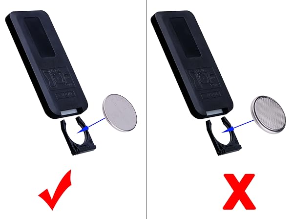 Remote control batteries