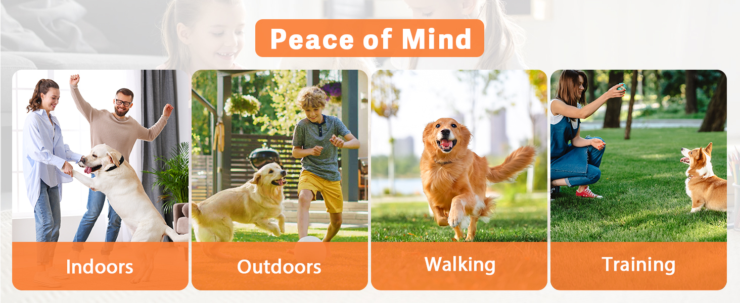 guodun armor dog bark deterrent devices bark buster dog bark deterrent devices bark guard for dogs