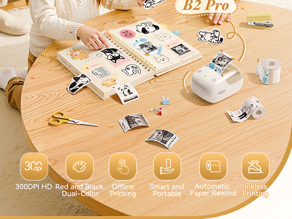 NIIMBOT B2 Pro Label Maker Machine with Tape