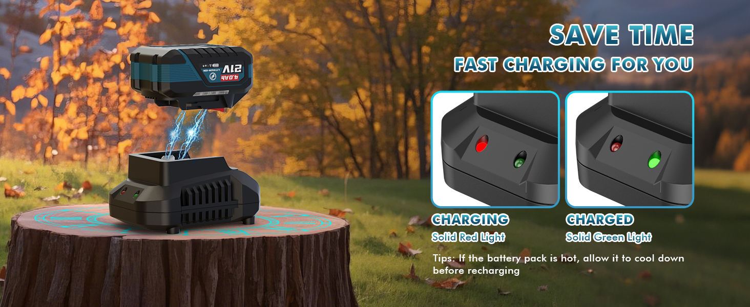 Leaf Blower with 2 Batteries and Charger