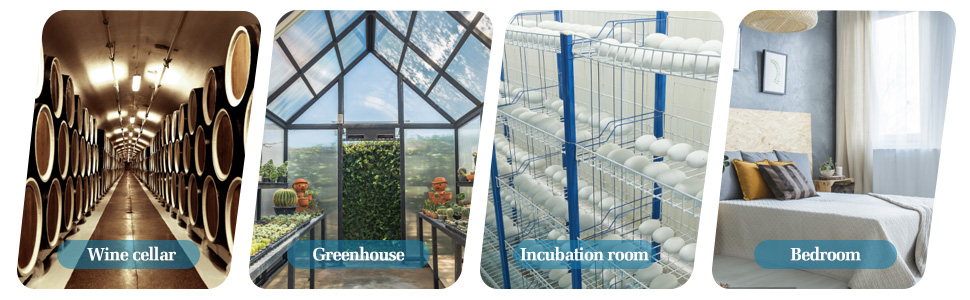 greenhouses are a great way to grow plants in the greenhouse.