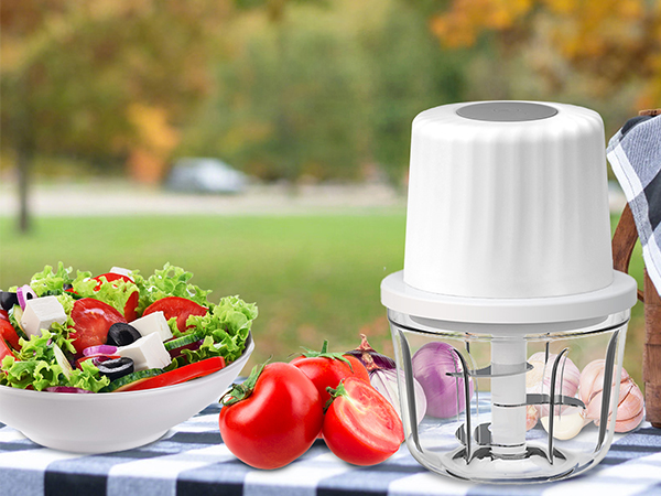 small food processor