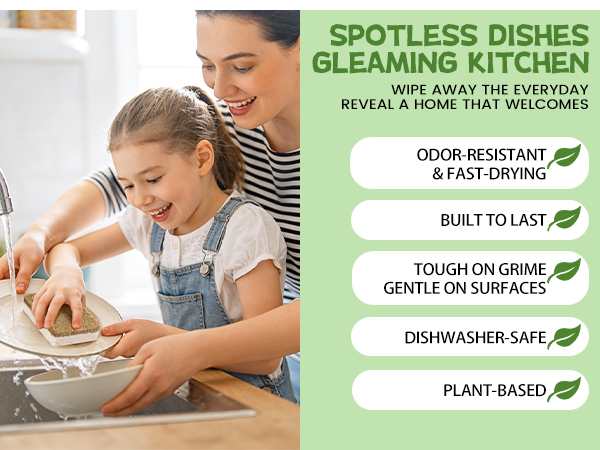 Kitchen Sponge