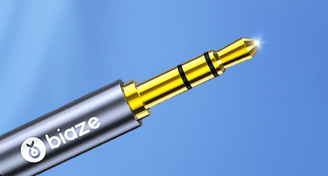 RCA Male to Aux Audio Adapter