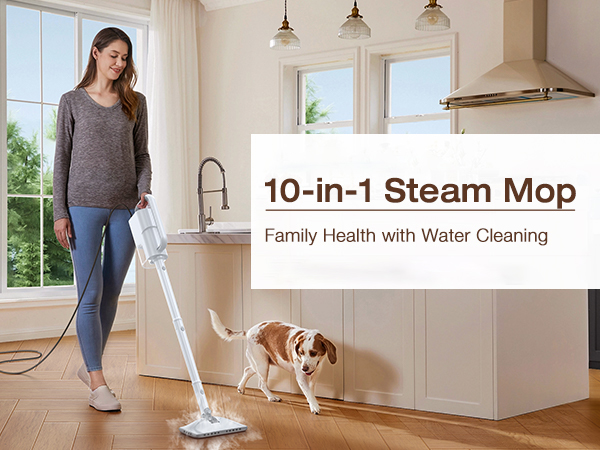 STEAM MOP
