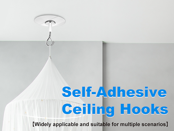 Ceiling hooks 