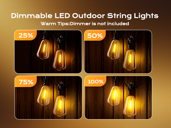 Outdoor String Lights