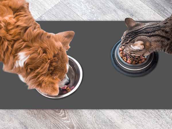 Kitchen Mat