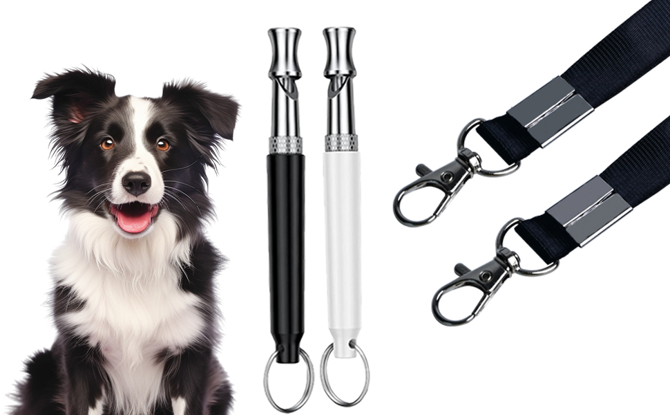 Dog whistle