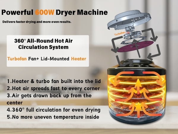 dehydrator_food dehydrators_6 trays dehydrators_fruit dehydrator