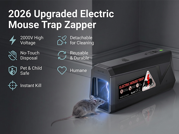 mouse traps indoor for home