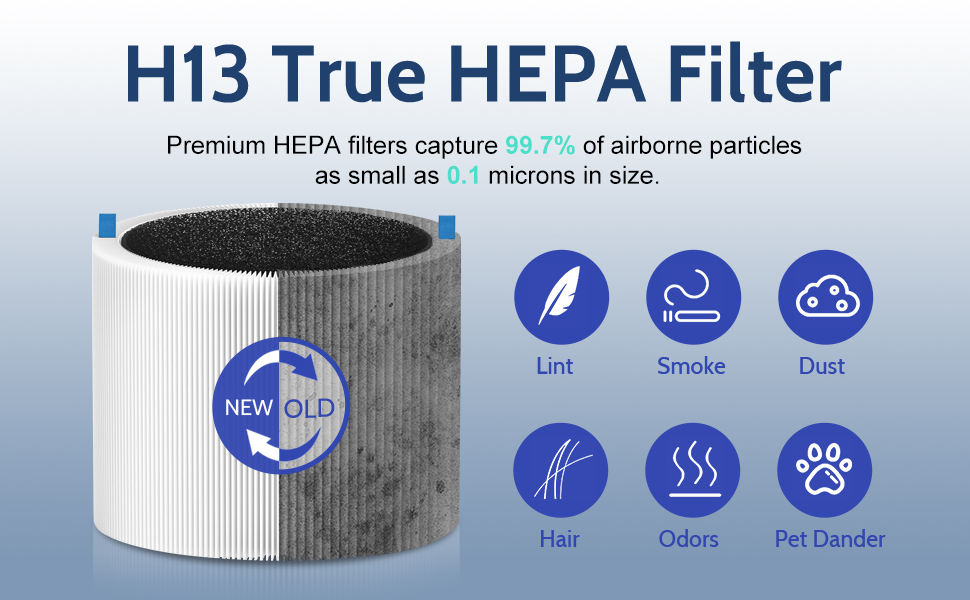 blue pure 211i max Replacement Filter