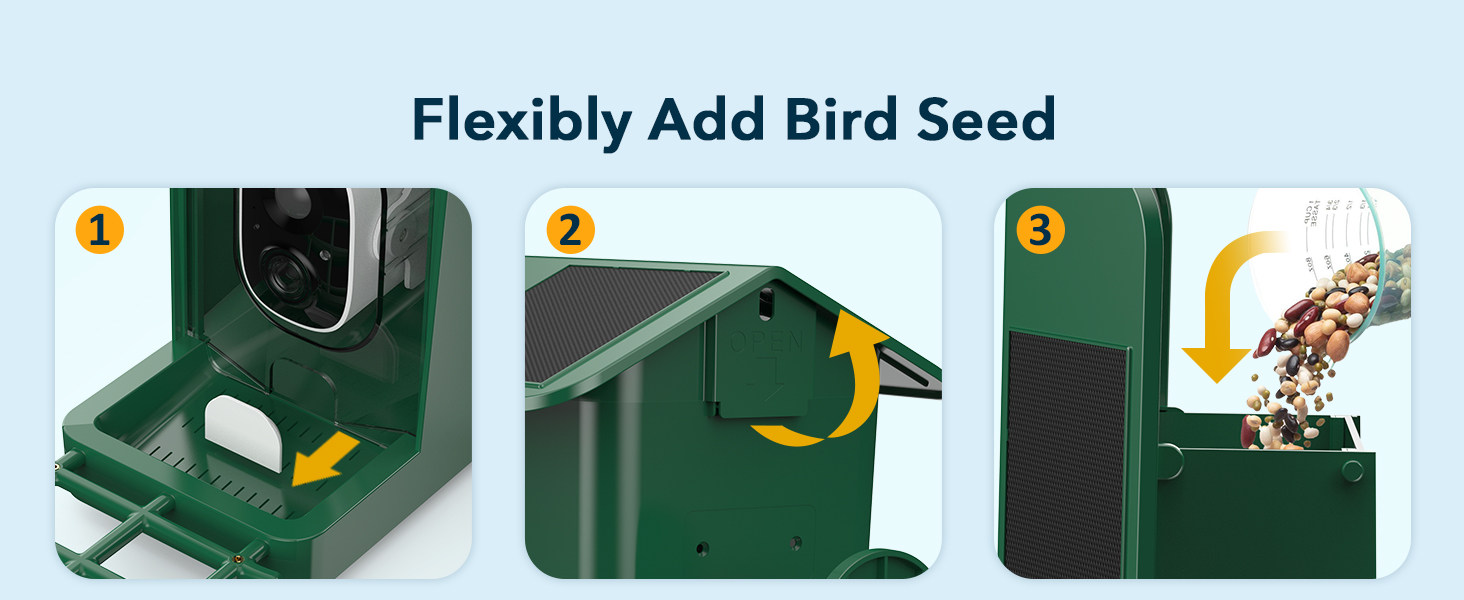 bird feeder camera