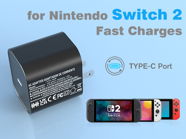 nintendo switch charger