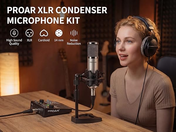 Studio recording microphone
