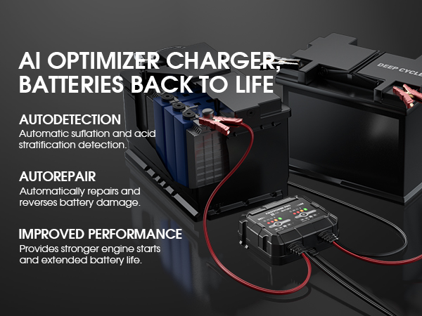 2A*2 battery charger