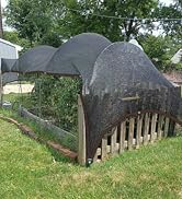 plant shades for outdoor plants