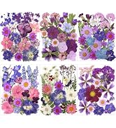 140Pcs Dried Pressed Flowers Leaves kit for Resin Molds,Purple Real Natural Dry Pressed Flowers f...