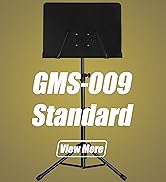 GMS-009
