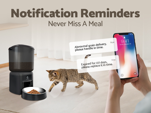 Automatic Cat Feeder