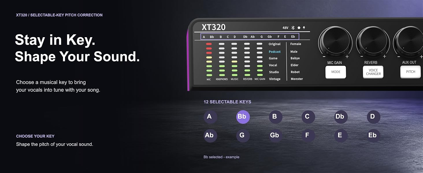 XT320 pitch correction with 12 selectable musical keys to tune vocals to your song.