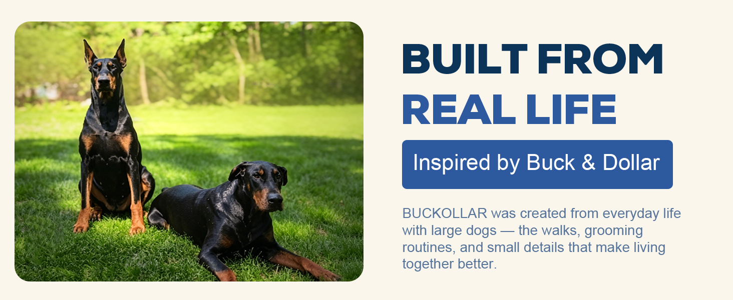 Buck and Dollar in the grass with BUCKOLLAR brand story.