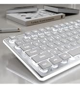SEUNKWANG EWEADN GX710S Backlit Computer Keyboards, Wired USB Keyboard with White Backlit, Metal ...