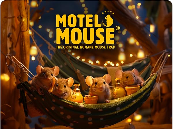 Humane Mouse Traps