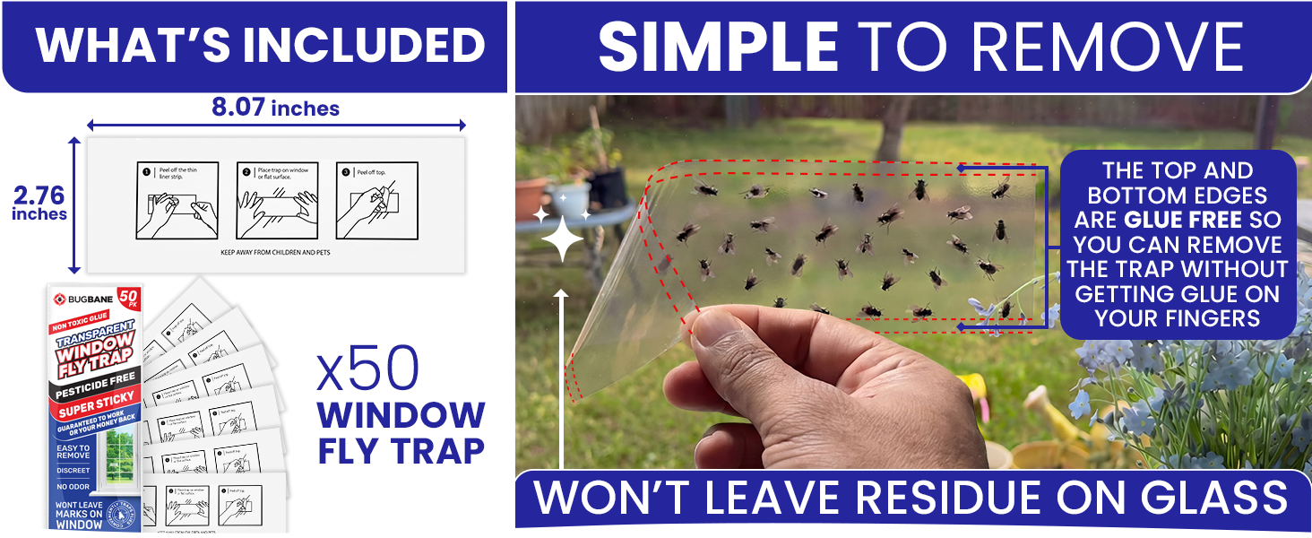 Simple to remove house fly trap indoor. Fruit fly sticky traps for getting rid of house flies.