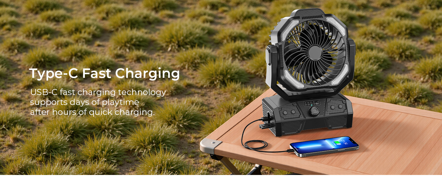 Portable fan