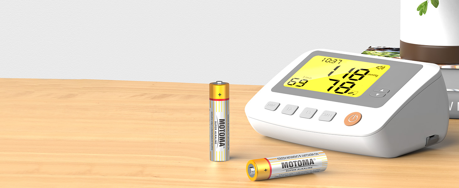 alkaline aa batteries 