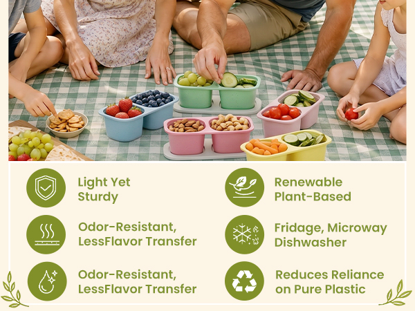 Snack Containers