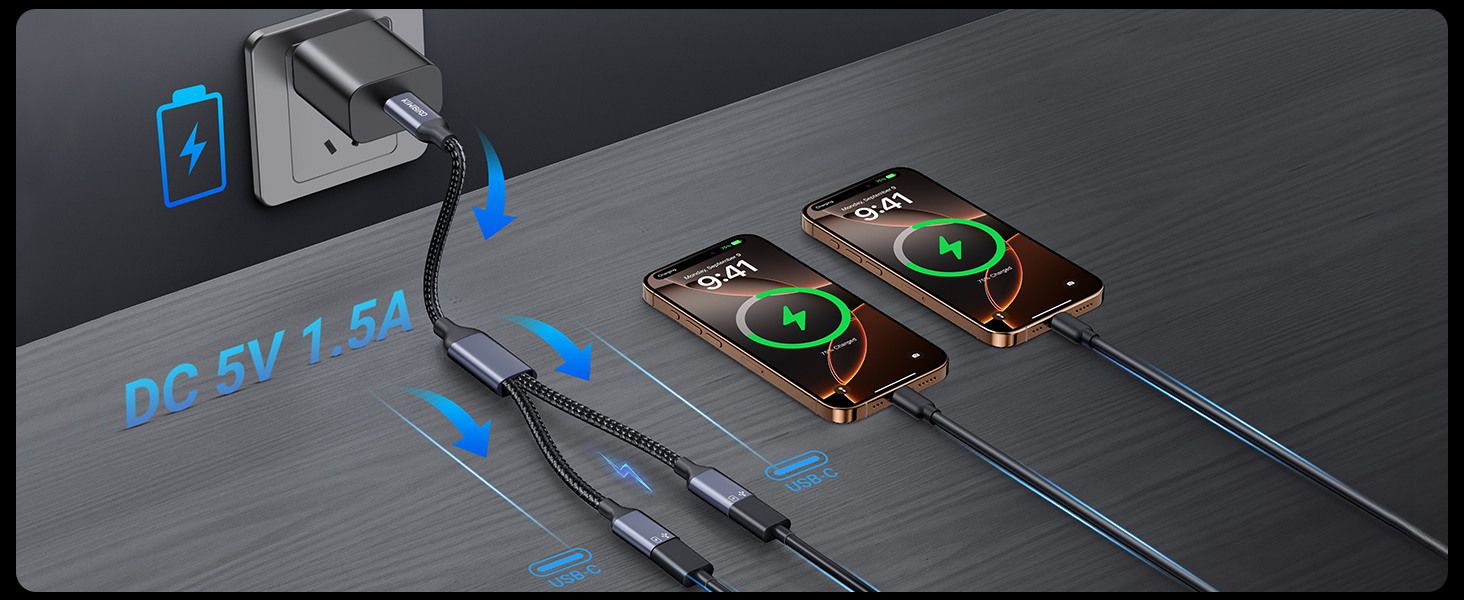 USB-C to USB-C Splitter