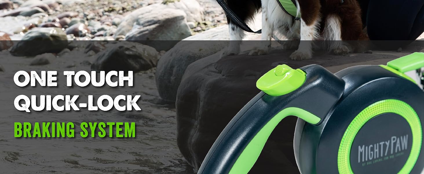 retractable dog leash 