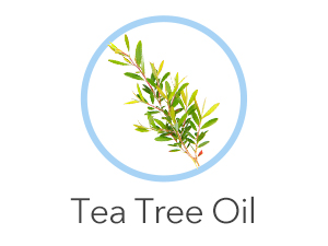 Calm, soothe &amp;amp; astringe pores