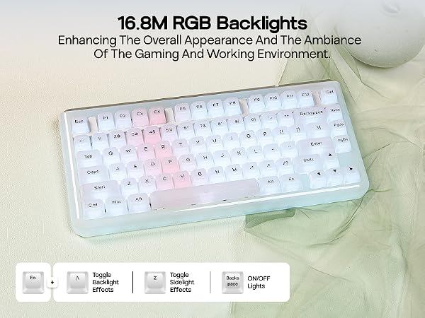 Text reads 'Image 2' and '16.8M RGB Backlights Enhancing The Overall Appearance And The Ambience'. White mechanical keyboard with RGB backlight illumination showing through keys.