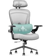 Sweetcrispy Ergonomic Office Desk Chair, 300 LBS High Back Mesh Gaming Home Office Chairs with Wh...