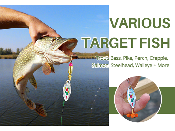 Fishing Lures for Trout