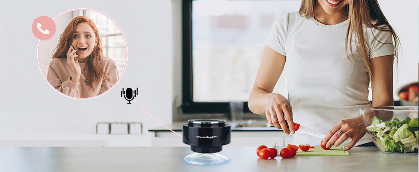 shower speaker with microphone