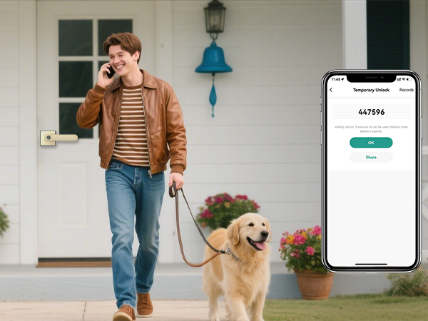 electronic lock for interior door gold