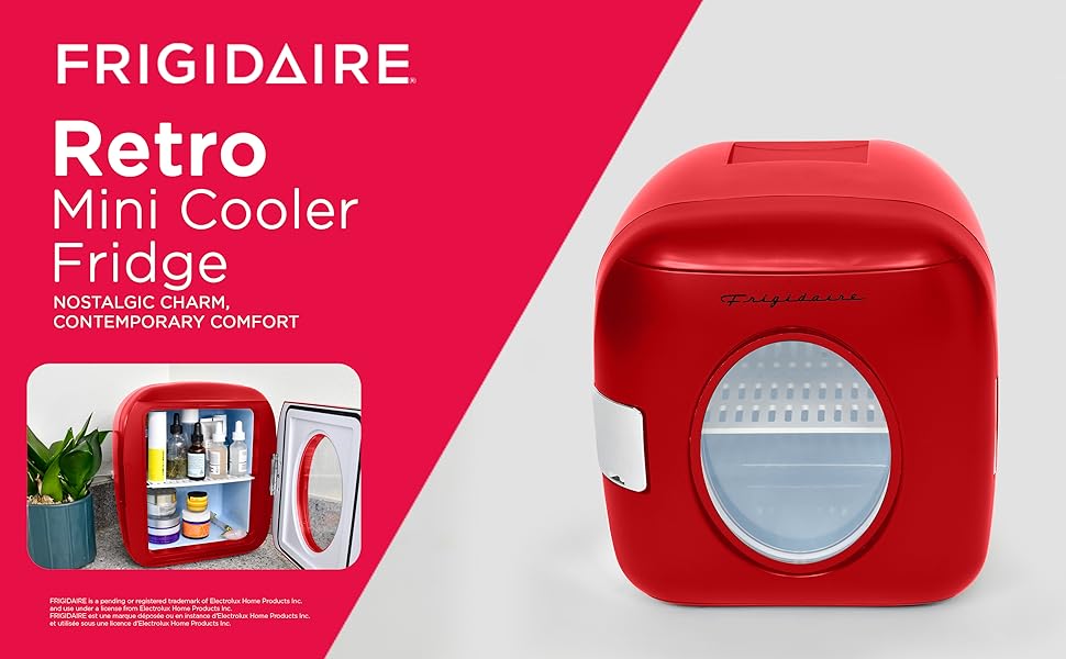 Mini Cooler Fridge