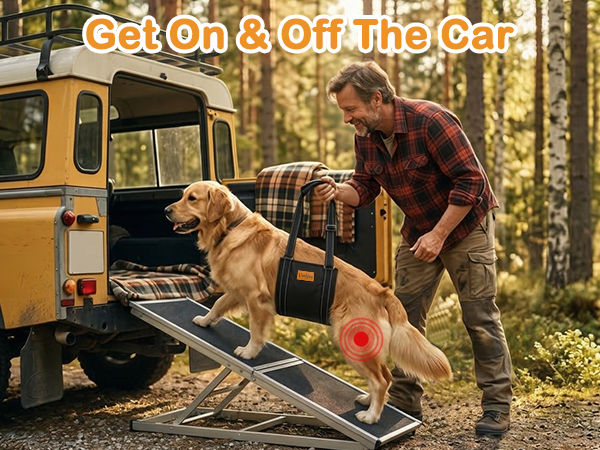 Great Mobility Aids for Dogs