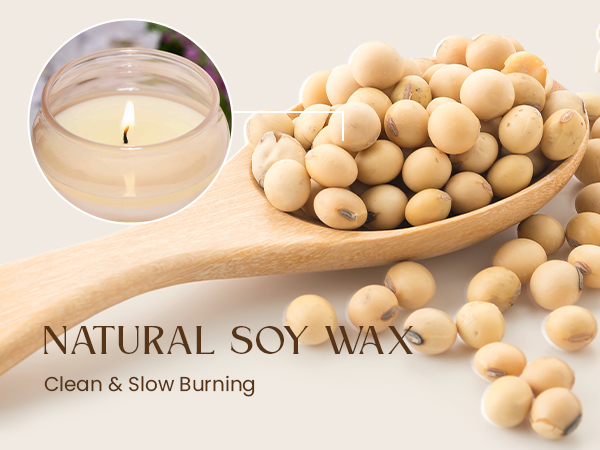 soy candles non toxic