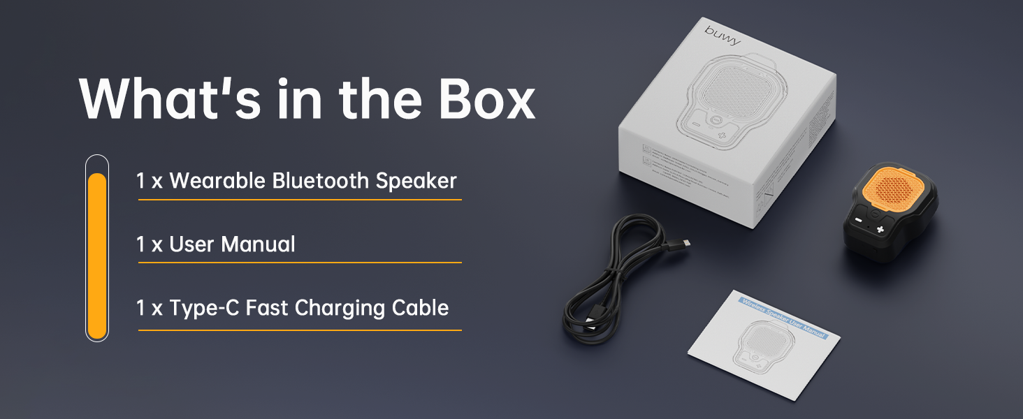 portable speaker