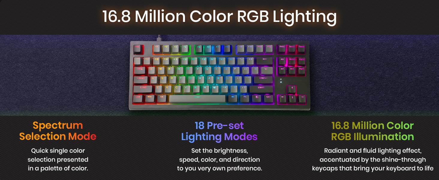 Tecware Phantom Plus Elite 87 RGB mechanical keyboard wireless gaming keyboard 87 key