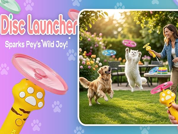 cat fetch toy